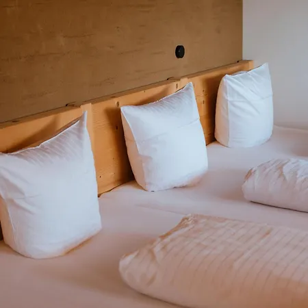 Alpenpanorama Konzett *